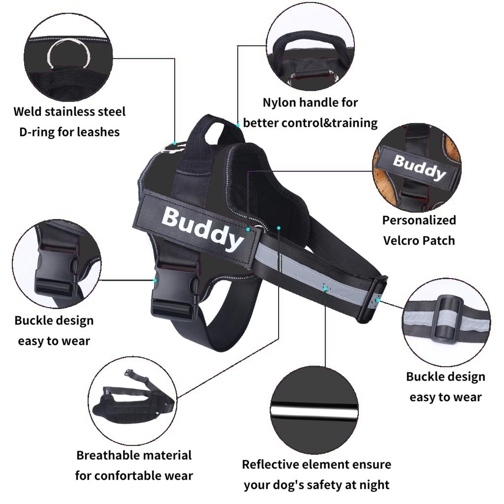 Personalized Dog Harness - Best Custom Product Options