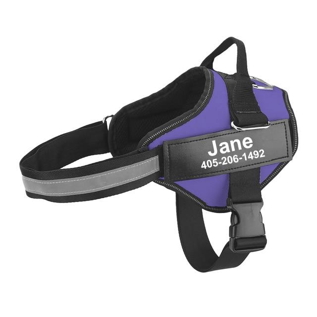 Personalized Dog Harness - Best Custom Product Options