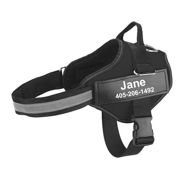 Personalized Dog Harness - Best Custom Product Options