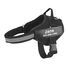 Personalized Dog Harness - Best Custom Product Options