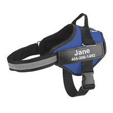 Personalized Dog Harness - Best Custom Product Options