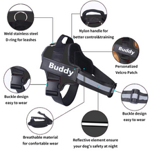 Personalized Dog Harness - Best Custom Product Options
