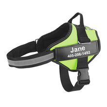 Personalized Dog Harness - Best Custom Product Options
