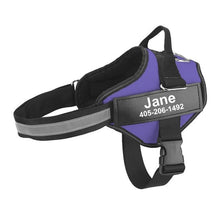 Personalized Dog Harness - Best Custom Product Options