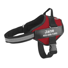Personalized Dog Harness - Best Custom Product Options