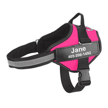 Personalized Dog Harness - Best Custom Product Options